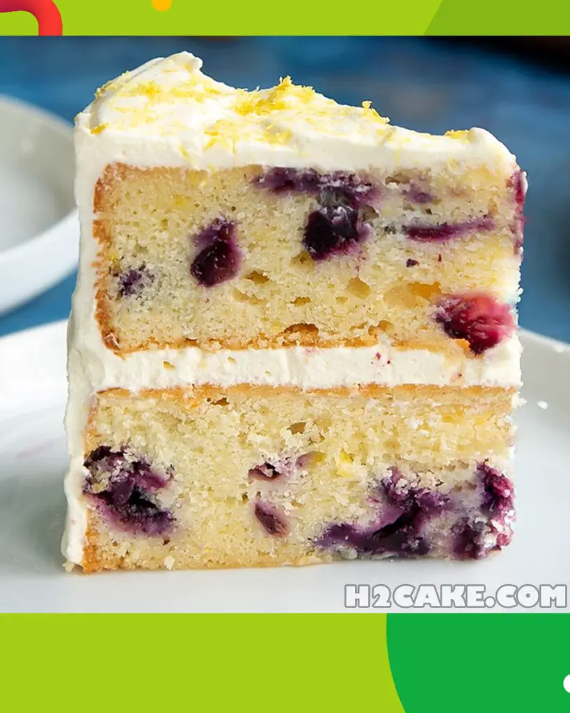 Blueberry-Sponge-Cake-2