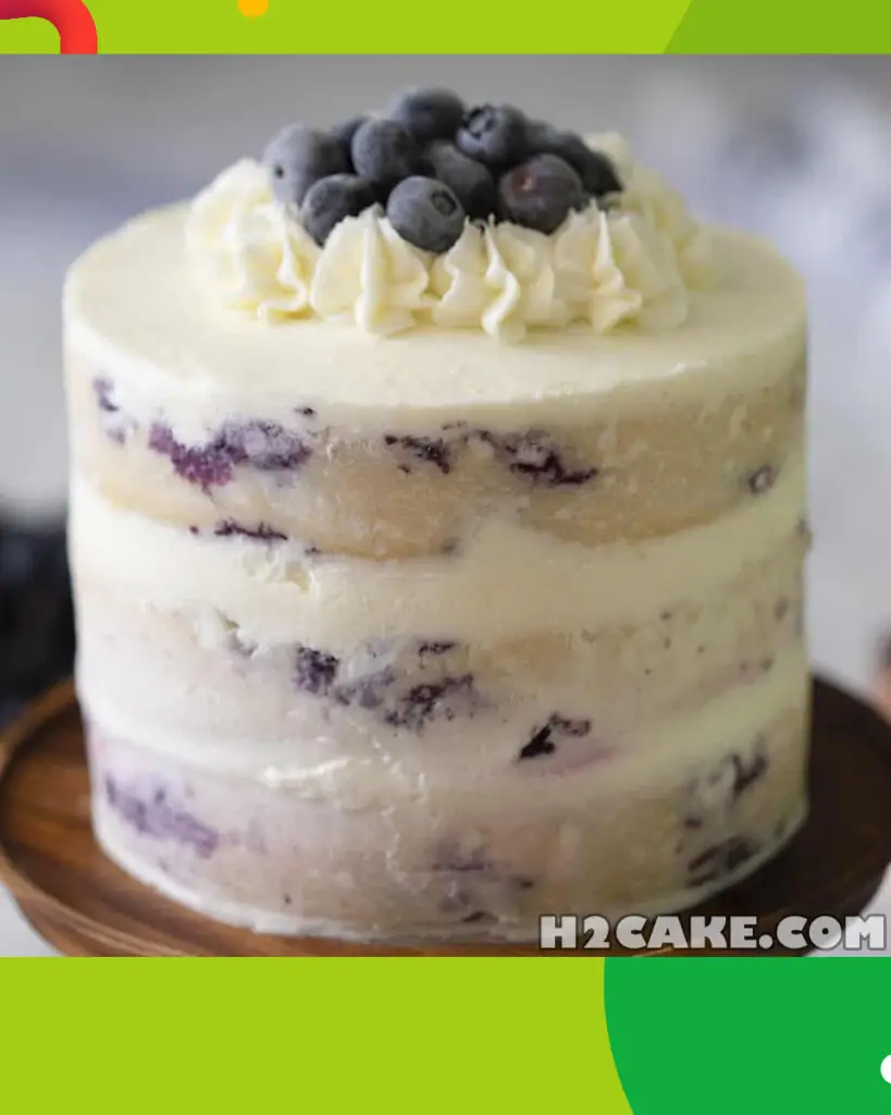 Blueberry-Sponge-Cake-6