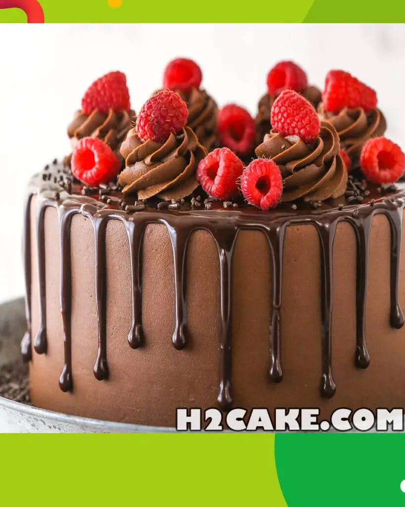 Raspberry-Chocolate-Cake-3