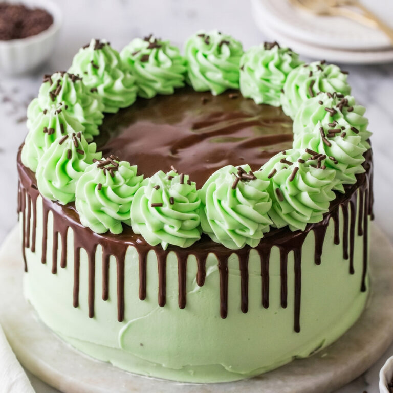 chocolate mint cake hero